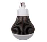 D190&nbsp;80W&nbsp;LED大球泡